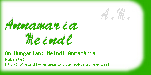 annamaria meindl business card